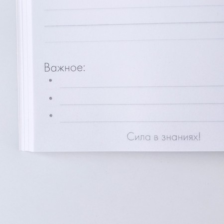 Gift set "Teacher" Diary and 2 pcs of the handle (ball, 1 mm, blue, red pasta)-7