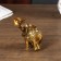 Souvenir Polystone "Elephants, Popon with Rhinas" set 7 pcs h = 9.5; 8.5; 7.5; 6.5; 5.5; 5.3; 5 cm