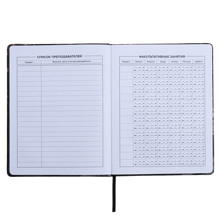 Universal Diary Grade 1-11, 48 sheets "Break the Rules", a solid cover of artificial leather, lies, an offset unit-6