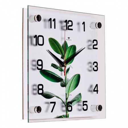 Watch wall, interior "ficus elastic", 25 x 25 cm, silent-1