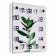 Watch wall, interior "ficus elastic", 25 x 25 cm, silent