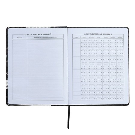 Universal Diary Grade 1-11, 48 sheets "Racing", solid cover of artificial leather, lies, universal cheat sheet, block 80 g/m2-4
