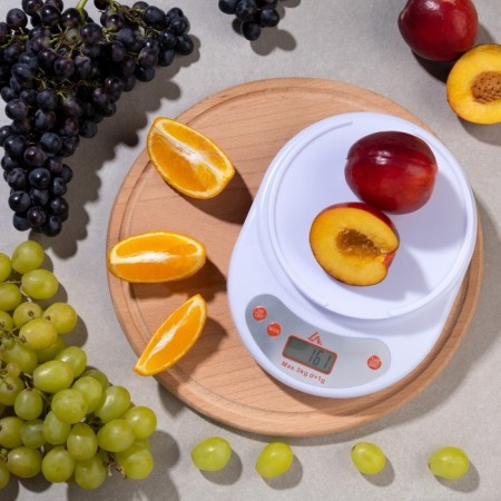 Kitchen Libra Luazon LV 504, electronic, up to 5 kg, white
