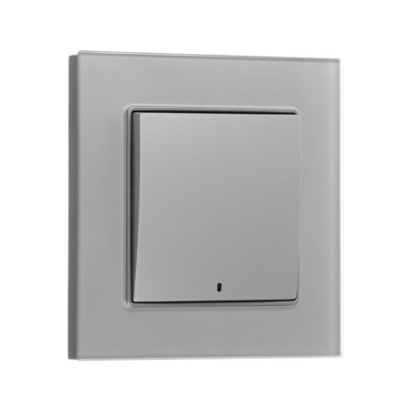 Tot Matte Glass switch, 10 a, 1 cl., With backlight, hidden, glass, silver-1