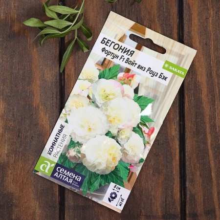 Set of indoor flowers "Hit Sales"-8