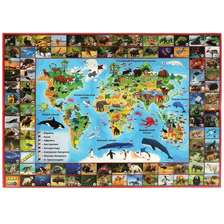 Photo Victor "Animals. Planet Earth ", 2-4 players, 5+-3
