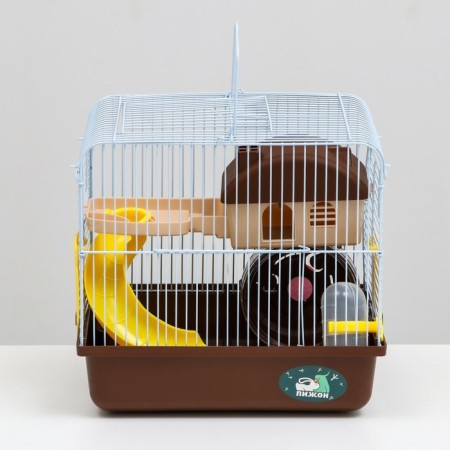 A cage for rodents "Pigger", equipped, 27 x 21 x 26 cm, brown-1