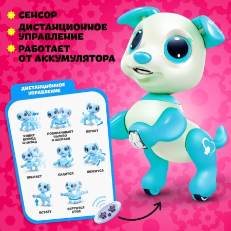Robot dog “Peteum” WoW TOYS, on the control panel, interactive: sound, light, dancing, on the battery, turquoise-2