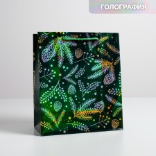 Packet Hologography Vertical “Bumps”, Ml 23 x 27 x 11.5 cm, New Year