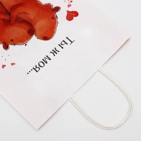 Gift Paper Packet, "My Capybara", 24 x 10.5 x 32 cm-2