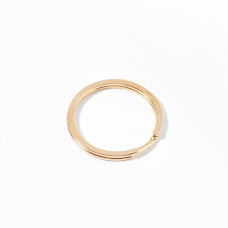 Ring for Bleel D25mm (FAS 100pcs Price per pcs) Flat metal gold-1