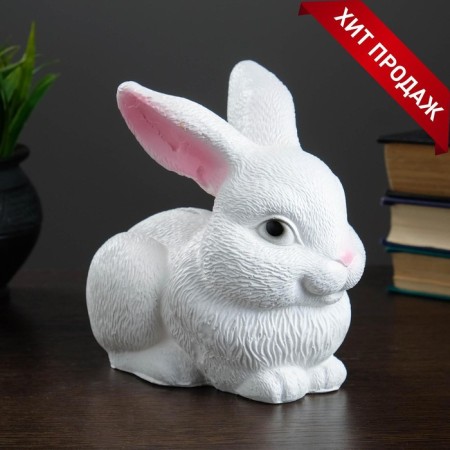 Piggy bank "Bunny" White, 18x11x15cm-8
