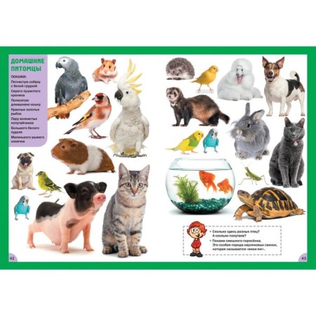 Animals. For children from 3 to 6 years old-6
