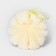 Warrous body shell Cupellia spa, 46 gr, beige color