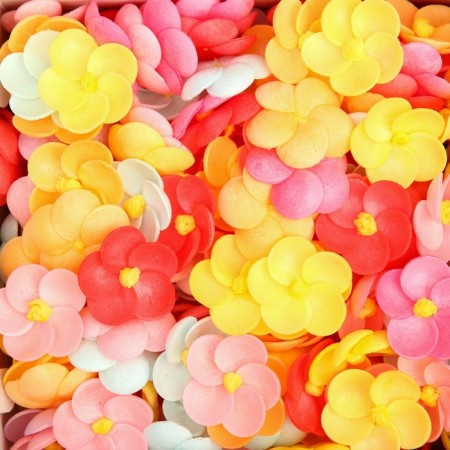 Wafer phlox, mix, 250 pcs.-2