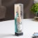 Diffusor aromatic "modern", 50 ml, berry, March 8, "wealth of aroma"