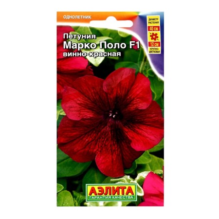 Petunia seeds Marco Polo F1 wine-red, 7 pcs