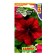 Petunia seeds Marco Polo F1 wine-red, 7 pcs