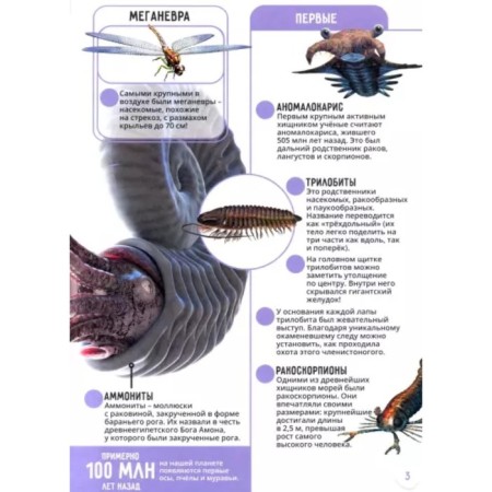 Dinosaurs. World Ocean. Insects and spider -shaped. Animals-8