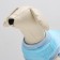 Folder for animals "Chamomile", Velsoft, Size M, Blue (DS 28, Osh 24, OG 38 cm)