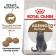 Dry food RC Sterilized +12 for sterilized cats, 400 g