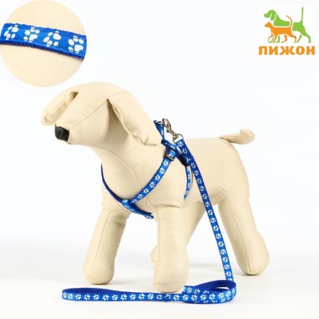 The set of stitched "paws", width 1 cm, leash 120 x 1 cm, og 23-35 cm, blue