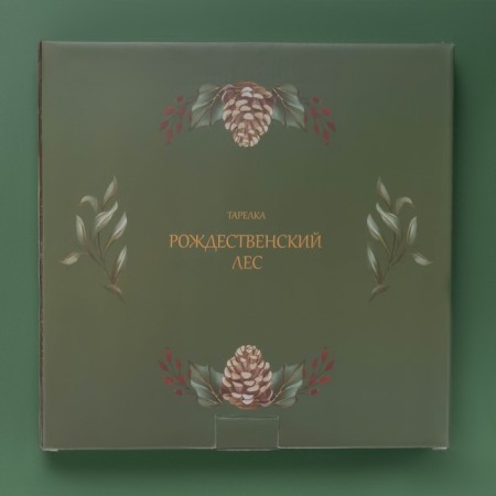 New Year's shade "Christmas evening", d = 20.5 cm, porcelain, white color-3