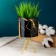 Pot on the stand "cylinder" marble, on a gold stand, 15x8x8cm