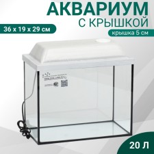 Aquarium 