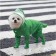 Combiason for dogs, demi -season with covers on paws, size M (DS 30, OG 32), green