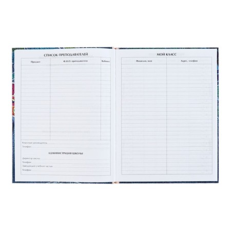Universal diary for grades 1-11, "kittens in pockets", solid cover 7BC, glossy lamination, 40 sheets-7