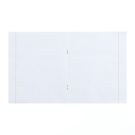 Notebook 12 sheets in the green cover cage, offset No. 1, 58-63 g/m2, whiteness 92%-1