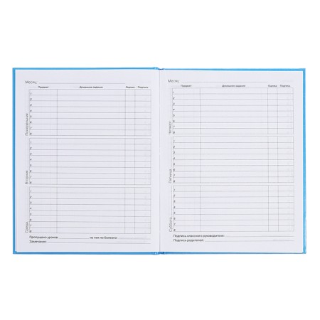 Diary for grades 5-11, 48 sheets "Inspiration!", Firm cover, glossy lamination, block 60 g/m2-8