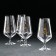 Set of glasses for beer "Sandra", 540 ml, 4 pcs