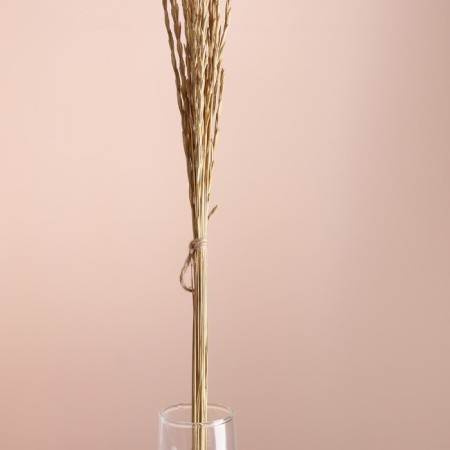 Set of dried flowers "Raigrace", banch 21 pcs, length 60 (+/- 6 cm), natural-1