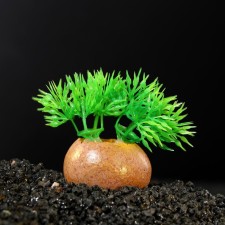 The artificial aquarium plant on stone, 5 x 4 x 7 cm
