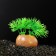 The artificial aquarium plant on stone, 5 x 4 x 7 cm