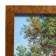 The painting "Silence in the forest" 56*76 cm