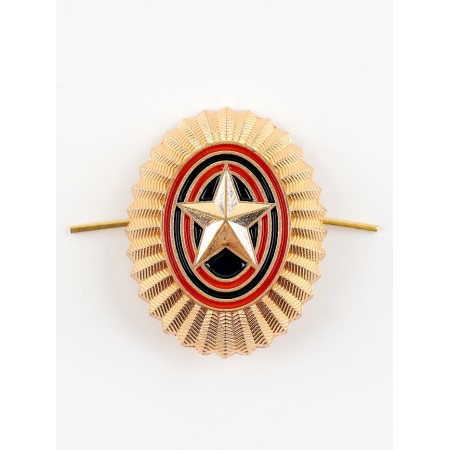 Kocardia with a star is a simple oval 3x4 cm, metal, 5 pcs.