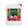 Concentrated liquid air conditioning for cut flowers "Talifloor Active", 5 liters