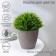 Kashpo for flowers "Riff", plastic, 450 ml, color mix
