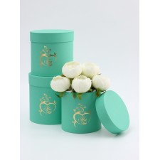 Set of hats 3 in 1 