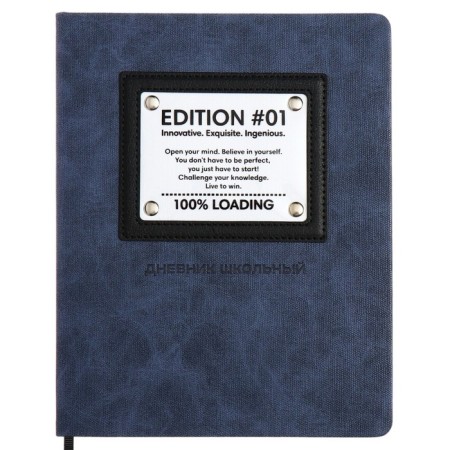 School diary for grades 1-11, solid cover, artificial leather, applique, pancake embossing, metal scenes, silk-screen water, lies, 48 ​​sheets, block 80g/m2, blue