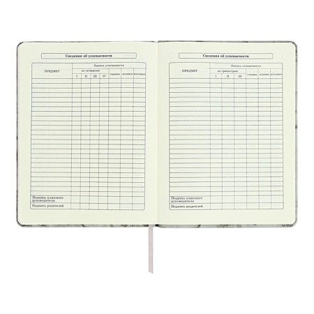 Diary 1-11 grade "Gray marble", artificial leather, a solid cover with embossing, with liesa, 48 sheets-8