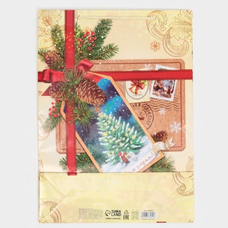Laminated vertical package “Happy New Year!”, L 28 x 38 x 9 cm, New Year-7