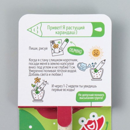 Growing gift pencils mini "clove"-2