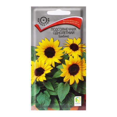 Flower seeds sunflower one -year -old Bambino, 0.5gr.