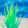 The plant is artificial aquarium, luminous, 10 cm, green