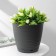 Pot for flowers with a Saffron pallet, 2.6 l, d = 17.6 cm, h = 16.2 cm, black color is black
