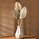 Dry flowers "Palm leaf", 54 × 110 × 2 cm